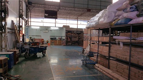 立美建材 专业运动馆木地板生产商，品质保障与高清展示